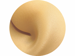 silk fabric color Cornsilk